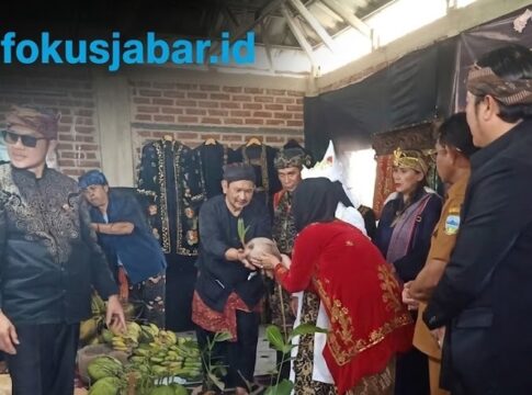 Bibit Kelapa fokusjabar.id