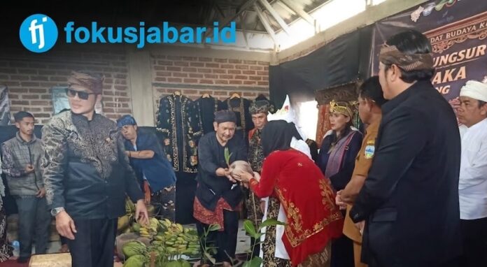 Bibit Kelapa fokusjabar.id