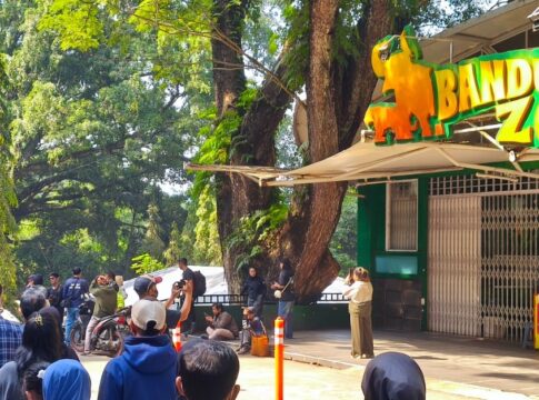 kebun binatang bandung fokusjabar.id