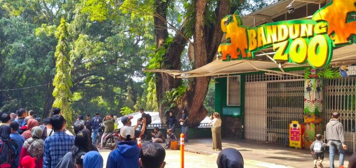 d89ec645-1a49-4c53-b677-1d7ce462c7fd kebun binatang bandung fokusjabar.id