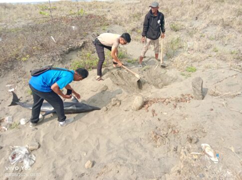 Pangandaran, FOKUSJabar.id