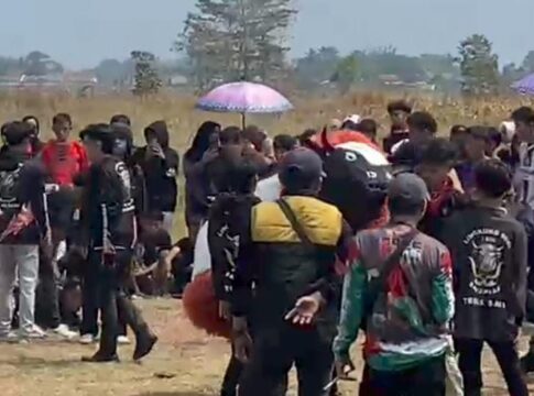 Sapi Edan Sukaluyu garut fokusjabar.id