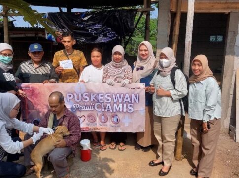 disnakkan ciamis vaksinasi kucing fokusjabar.id