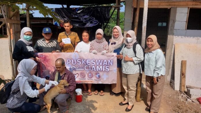 disnakkan ciamis vaksinasi kucing fokusjabar.id