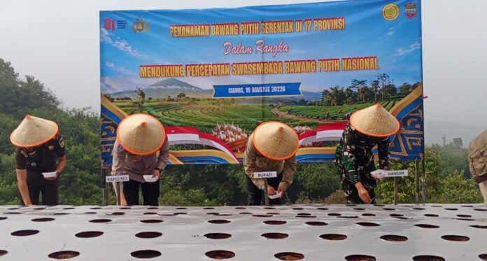Ketpot: Kapolres Ciamis saat melaksanakan penanan bibit bawang putih di Desa Cibeureum Sukamantri CIAMIS, FOKUSjabar.id