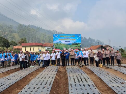 penanaman bawang putih fokusjabar.id