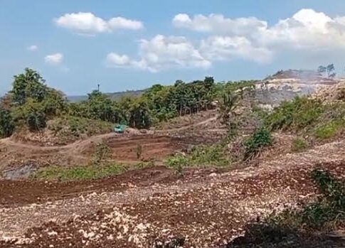 Perkebunan Durian Pangandaran fokusjabar.id