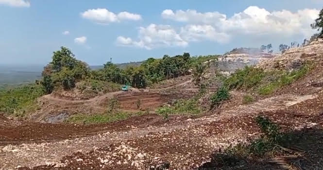 Perkebunan Durian Pangandaran fokusjabar.id