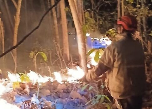 Perkebunan Warga cikaso fokusjabar.id