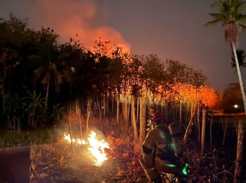 Karhutla Cikaso Ciamis fokusjabar.id