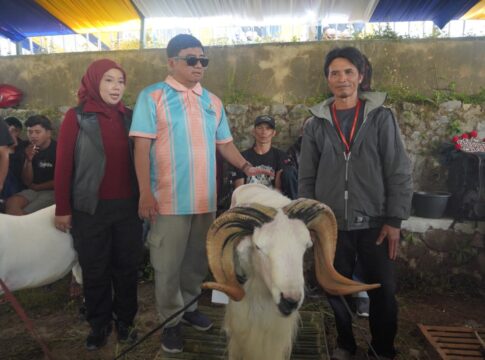 bupati garut domba fokusjabar.id