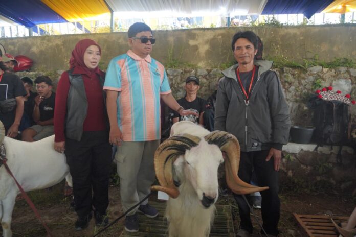 bupati garut domba fokusjabar.id