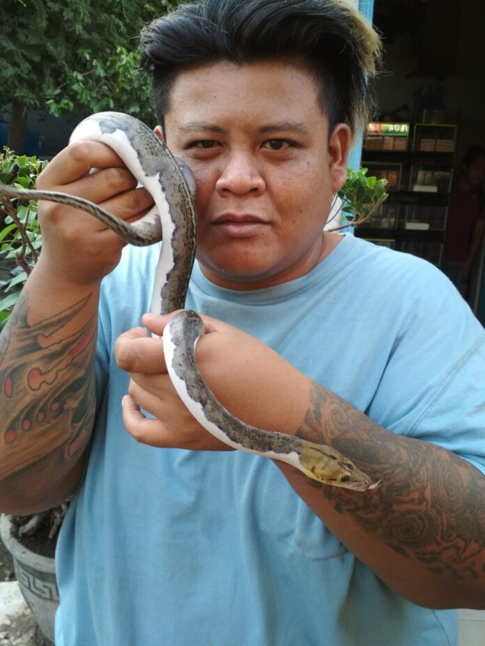 CIAMIS, FOKUSJabar.id