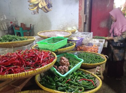 harga cabai hijau fokusjabar.id