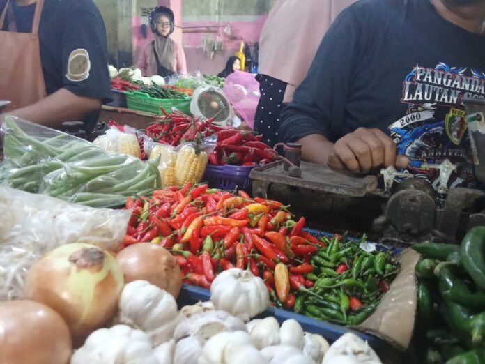 Cabai Rawit Domba ciamis fokusjabar.id