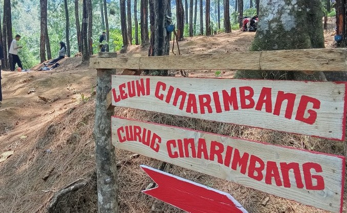 Paniisan Pinus Bongkok ciamis fokusjabar.id