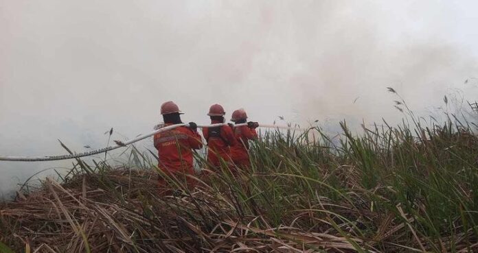 Sumber Gambar: Kemenhut Upaya pemadaman karhutla. NASIONAL, FOKUSJabar.id