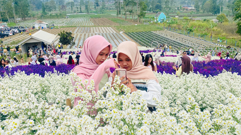 Majalengka, FOKUSJabar.id