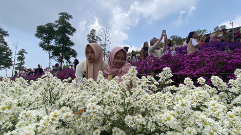 Majalengka, FOKUSJabar.id