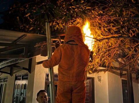 damkar banjarsari sarang tawon fokusjabar.id