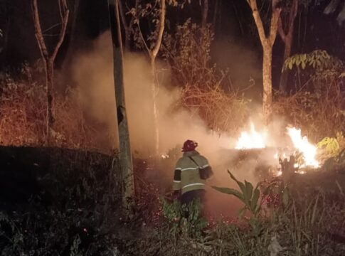 Kebun Karet PT Bantardawa ciamis fokusjabar.id