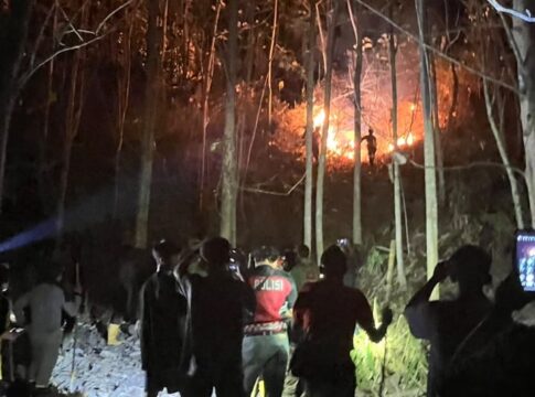 Hutan Jati Perhutani fokusjabar.id