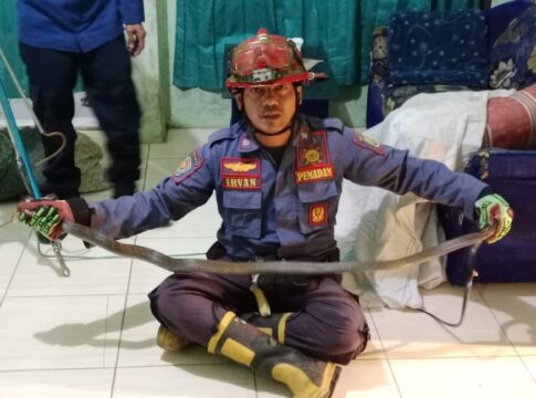 Damkar Ciamis fokusjabar.id