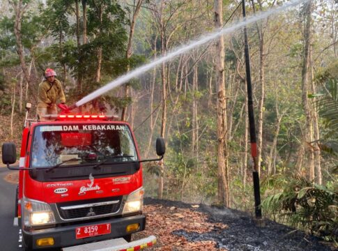 lahan Ampah hutan jati fokusjabar.id