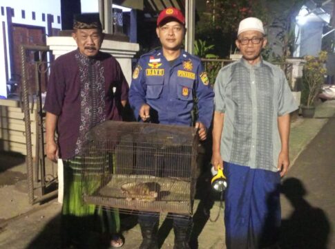 Damkar Ciamis Kukang fokusjabar.id