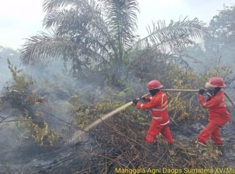 NASIONAL, FOKUSJabar.id